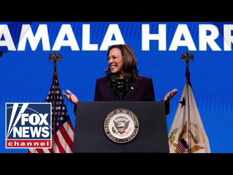 You are currently viewing Democrat warns Kamala Harris is ‘underwater’ in key swing state