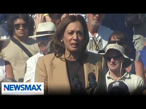 You are currently viewing Kamala Harris calls for gun control while responding to Georgia shooting