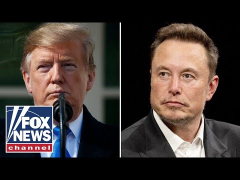 Read more about the article Trump announces Elon Musk will head audit of ‘entire federal government’