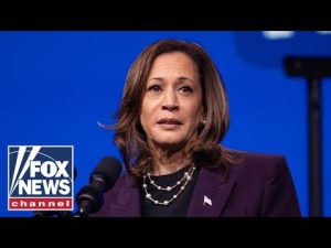 Read more about the article ‘THEY’RE AFRAID’: Trump official says Harris campaign eyeing an ‘escape hatch’