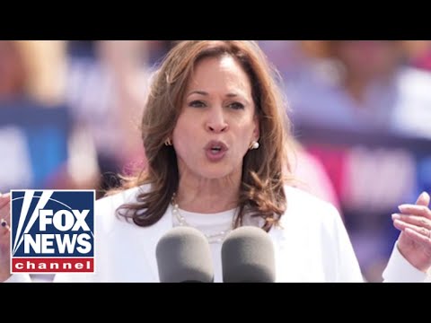 Read more about the article Kamala Harris is ‘intentionally laying low’: Mollie Hemingway