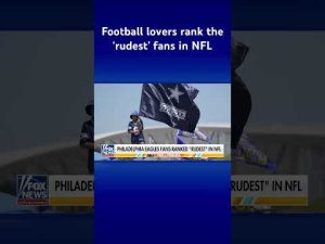 Read more about the article Fans reveal which NFL team has the ‘rudest’ fans #shorts