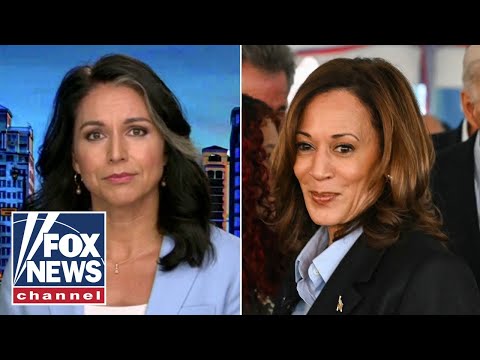 You are currently viewing Tulsi Gabbard: Kamala Harris cannot run away from this