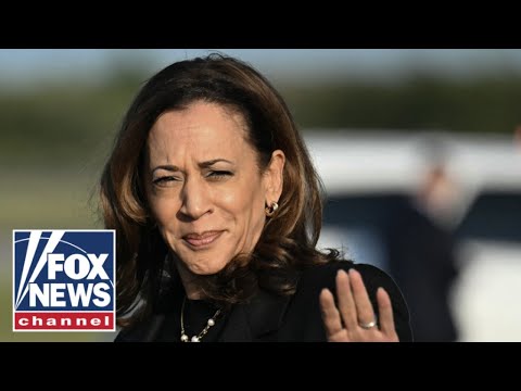 Read more about the article Kamala Harris did not achieve her goal, says Trump campaign