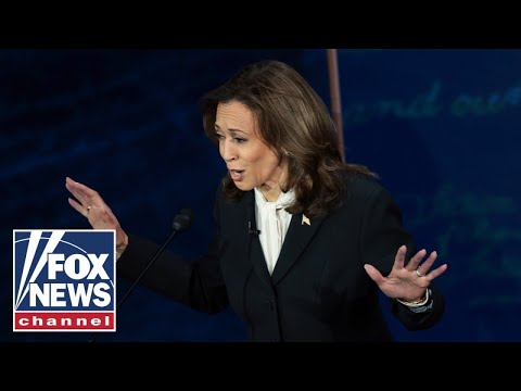 You are currently viewing Voters think Kamala Harris is ‘more to the left’ of Biden: Mark Penn