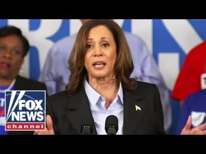 Read more about the article Kamala Harris called out for ‘cringe’ fake accent at Detroit rally