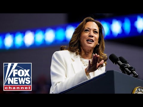 Read more about the article Kamala Harris ‘broke’ the border: Former acting ICE director