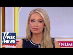 Read more about the article McEnany: This is how we know Democrats are nervous