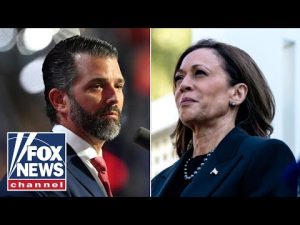 Read more about the article Donald Trump, Jr.: This is an abject disaster for Kamala Harris