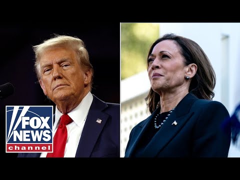 Read more about the article Harris campaign ‘nervous’ about Trump’s gains in swing states: Report