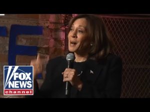 Read more about the article Is the honeymoon period fading for Kamala Harris?