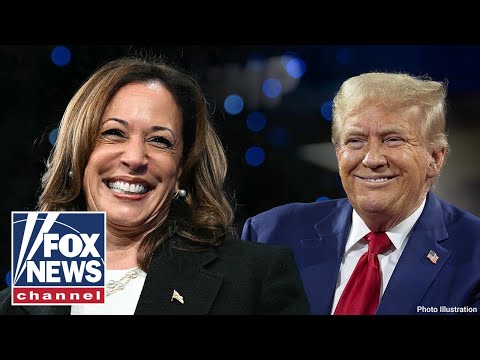 Read more about the article Key battleground state set to be ‘razor-thin’ race between Trump and Harris