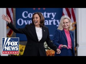 Read more about the article LIVE: Kamala Harris, Liz Cheney campaign in key swing state