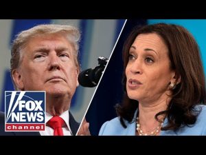 Read more about the article Trump leads Harris on immigration by 15 points: Poll