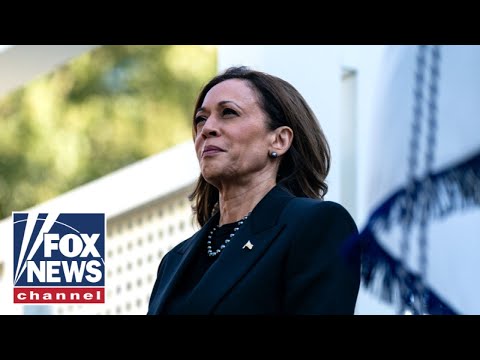 Read more about the article Harris campaign’s latest ‘desperation ploy’ in final days of election