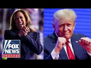 Read more about the article Trump senior adviser says Harris campaign is ‘flailing around’