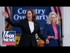 Read more about the article Trump RIPS Liz Cheney for campaigning for Kamala Harris: ‘They hurt each other’