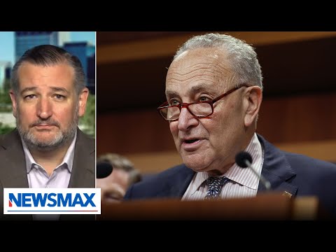 Read more about the article I’m Chuck Schumer’s No. 1 target in the country: Ted Cruz | Wake Up America