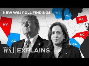 Read more about the article Trump, Harris Tied in Swing States Despite Trump Leading on Top Issues | WSJ