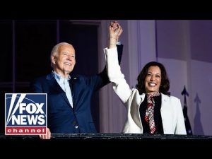 Read more about the article Kamala Harris was riding ‘shotgun’ with Biden leading us into ‘crisis: GOP rep