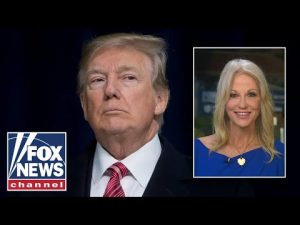 Read more about the article Kellyanne Conway: The key election issues favor Trump