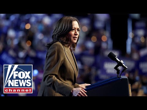 Read more about the article Vice President Kamala Harris delivers remarks at a campaign event in Erie, Pa.