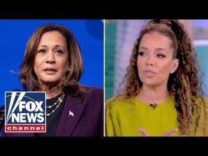 Read more about the article ‘View’ host admits Kamala Harris flubbed ‘layup’ question: ‘It wasn’t a gotcha question’