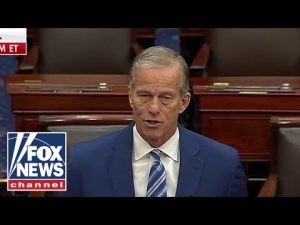 Read more about the article Sen. Thune vows to be a ‘team player’ after being elected Senate majority leader