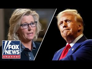 Read more about the article Trump calls out ‘media hoax’ over Liz Cheney: ‘Beyond fake news’