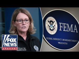 Read more about the article FEMA director to testify amid allegations of anti-Trump bias