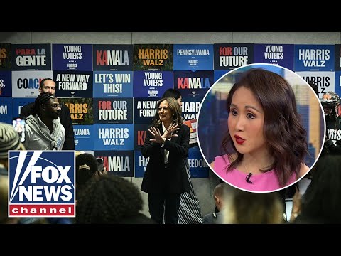 Read more about the article Harris Staffer Shares Shocking Details Inside Failed Campaign | Will Cain Show