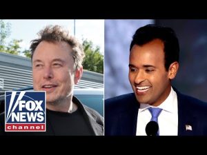 Read more about the article Musk, Ramaswamy lay out DOGE plan and vision for slimmer government