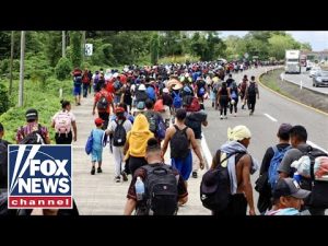 Read more about the article Migrant caravan from Mexico flooding to US border before Trump takes office