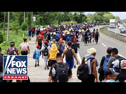 You are currently viewing Migrant caravan from Mexico flooding to US border before Trump takes office