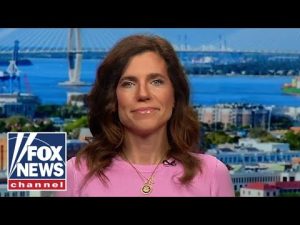 Read more about the article The left is ‘totally off the rails’ on this: Rep. Nancy Mace