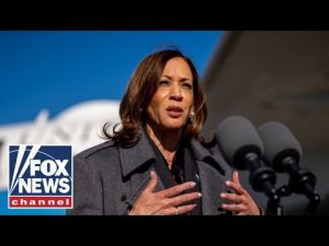 Read more about the article Kamala Harris is ‘cooked’ on the national political scene: Charlie Hurt