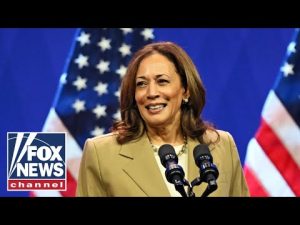 Read more about the article ‘NOT SURPRISED’: Harris criticized over ads with two different messages on Middle East