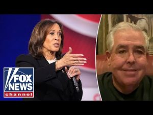 Read more about the article ‘NO TALENT’: Harris can ‘never’ run for president again, ex-donor says