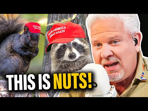 You are currently viewing Why Peanut the Squirrel PERFECTLY summarizes the 2024 election