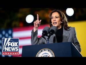 Read more about the article LIVE: Kamala Harris delivers remarks at a campaign rally in Pittsburgh