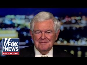 Read more about the article Newt Gingrich: The fake news has gone hysterical