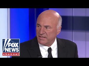 Read more about the article Kevin O’Leary: Trump saved the Democrats, too