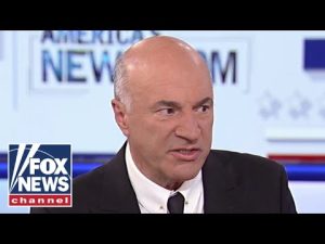 Read more about the article Kevin O’Leary: This is what Democrats missed in 2024