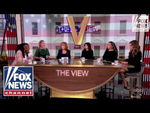 Read more about the article ‘Profoundly disturbing’: ‘The View’ digests Trump’s election win