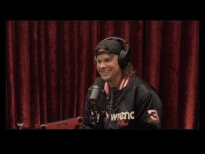 Read more about the article Joe Rogan Experience #2226 – Theo Von