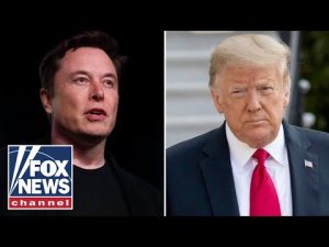 Read more about the article Elon Musk joined call between Trump and Zelenskyy, Fox confirms