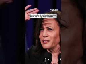 Read more about the article 5 mistakes that doomed Kamala Harris’ campaign