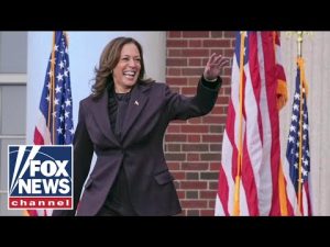 Read more about the article CNN analyst claims Harris lost because the media was not on her side