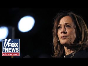 Read more about the article VP Harris’ ‘coronation’ was an ‘epic disaster,’ says DNC official