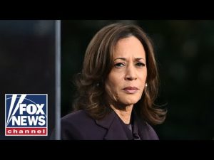 Read more about the article Ex-Harris staffer makes SHOCKING suggestion after 2024 loss